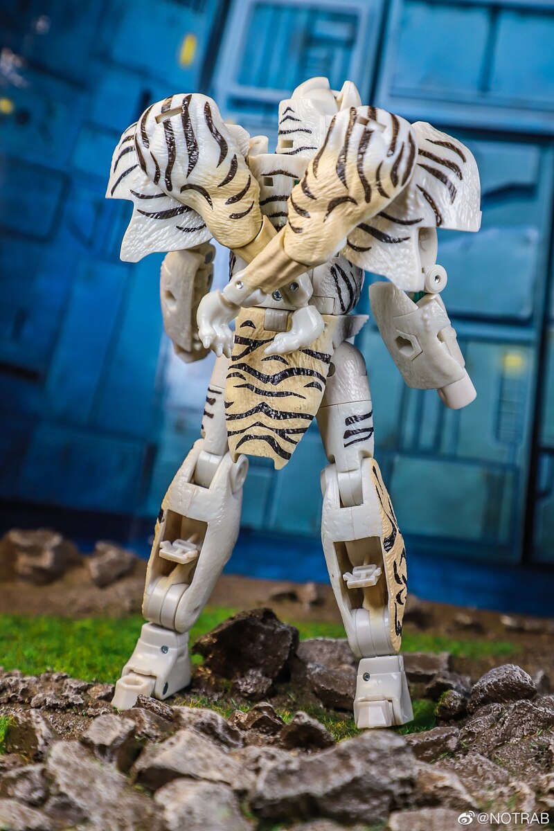Transformers Kingdom Tigatron Toy Photography Images by NOTRAB